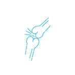 Bone and Joint